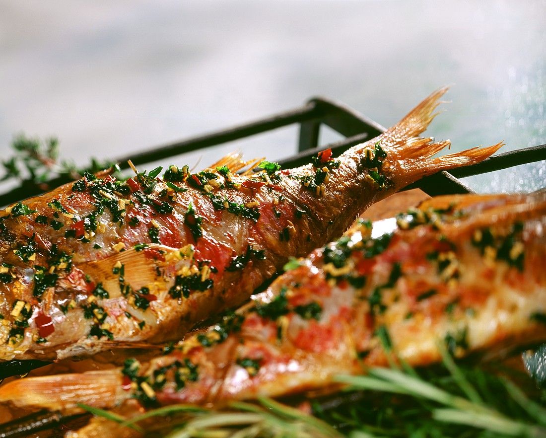 Gegrillte Rotbarben
