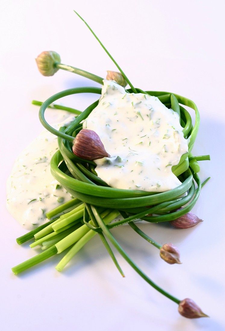 Mayonnaise mit Schnittlauch und Dill Rezept EAT SMARTER
