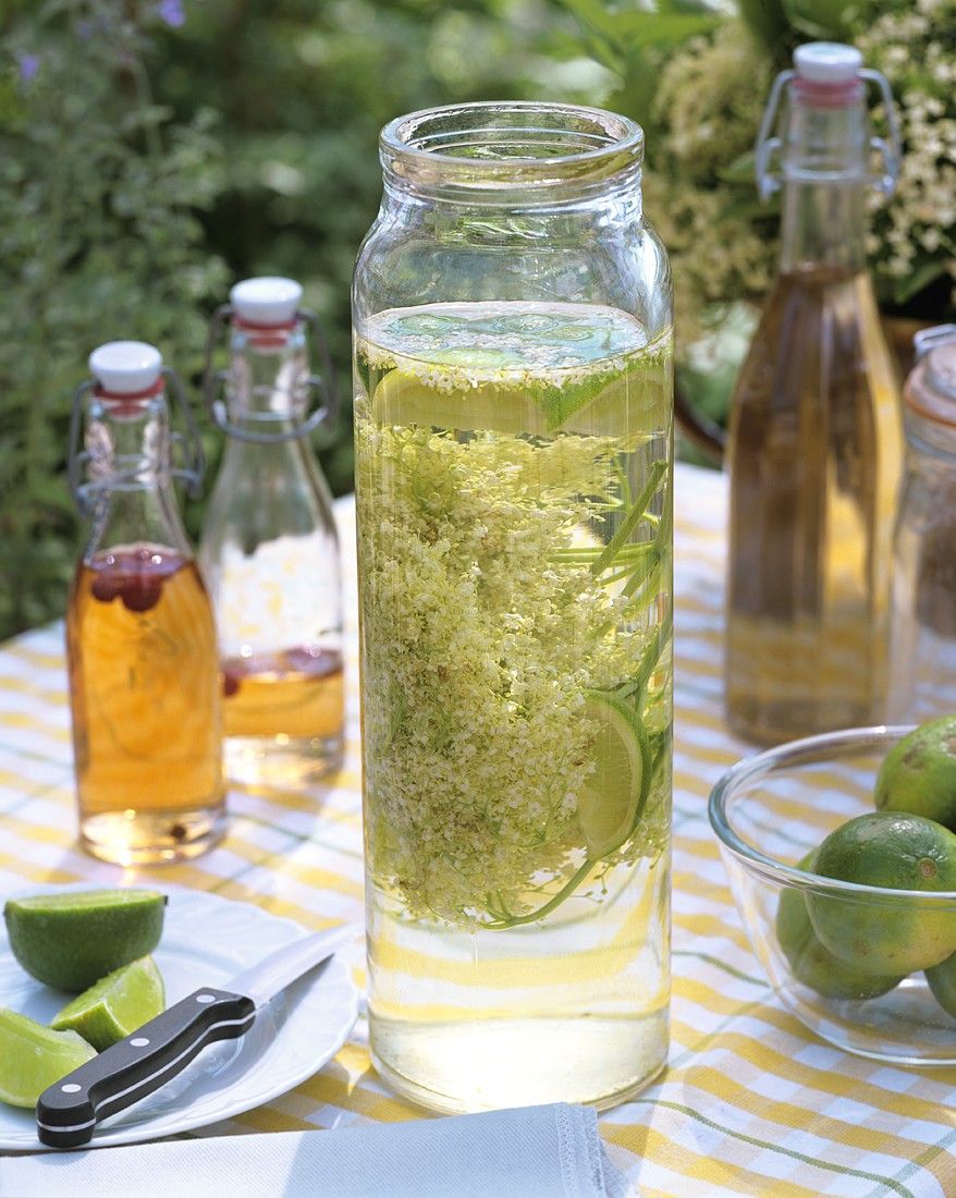 Selbstgemachter Hollersekt