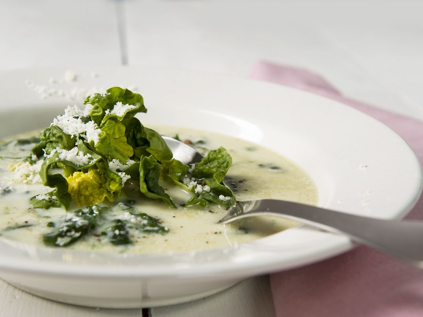 Feine Spinatsuppe - Rezepte Suchen