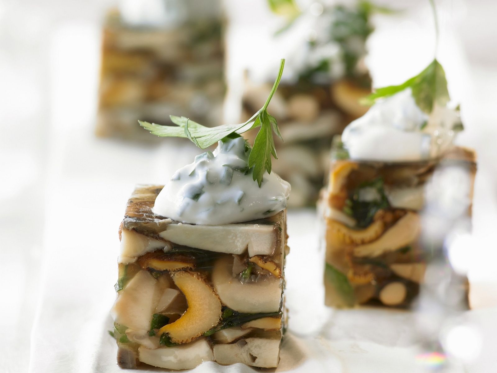 Terrine mit Pilzen Rezept EAT SMARTER