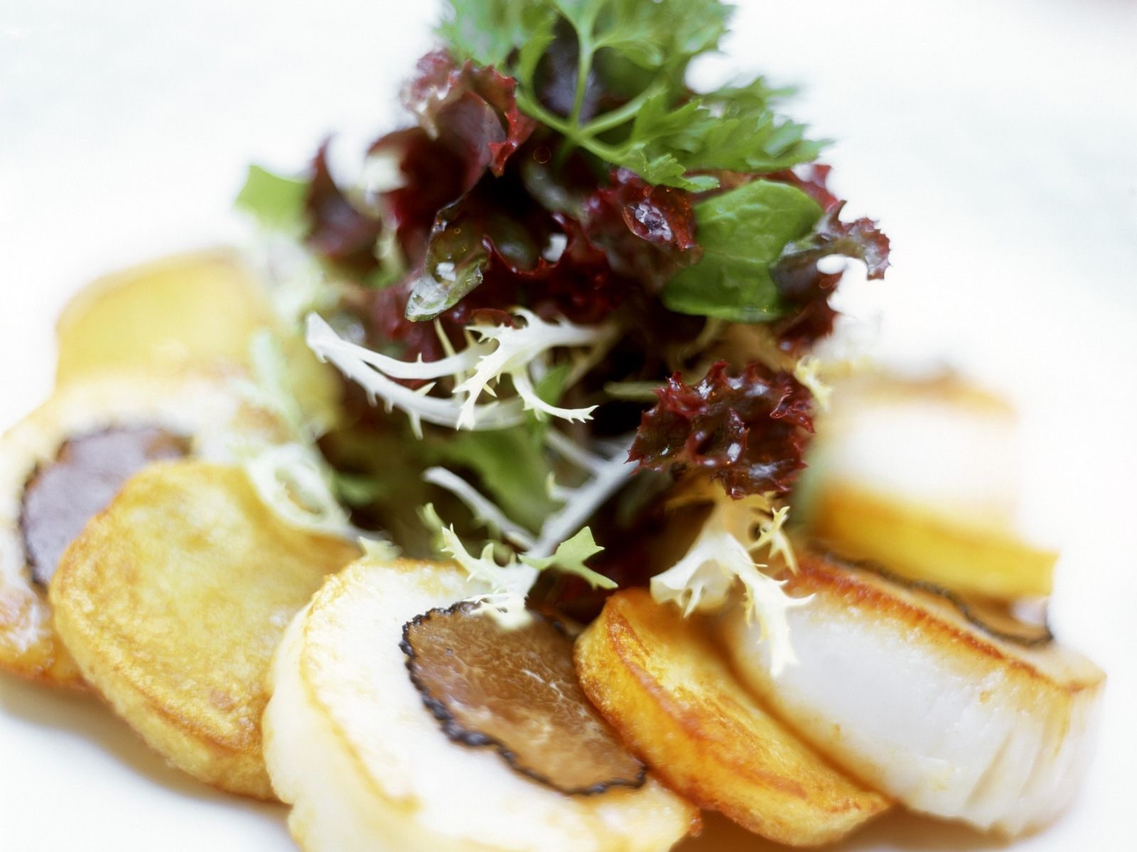 Trüffel-Jakobsmuscheln mit Maistalern und Salat als Vorspeise Rezept ... Trüffel-Jakobsmuscheln mit Maistalern und Salat als Vorspeise Rezept ...