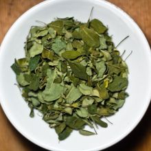 Moringa-Tee Blätter