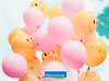 Granatapfel mixer - Unser Favorit