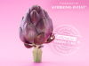 10 Superfoods für den Darm 10 Superfoods für den Darm