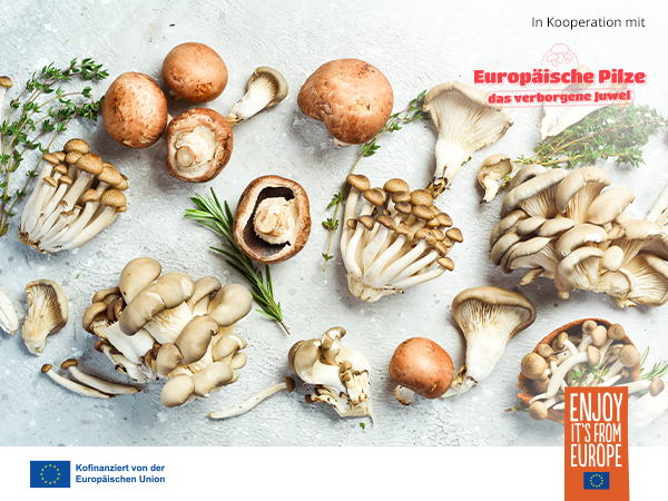 Europäische Zuchtpilze Europäische Zuchtpilze